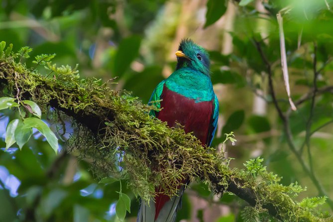 3-Day Tour of Cobán and Semuc Champey from Antigua - Why this route is worth three days
