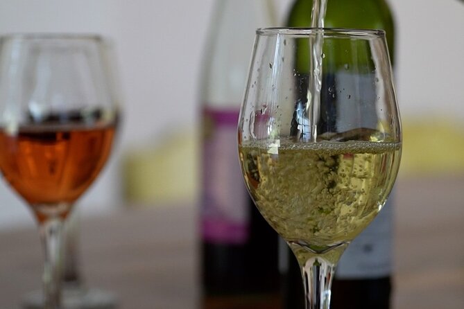 3-Hour Chateau Defay Vineyard Tour in Central America - Why Chateau Defay is worth your time near Antigua