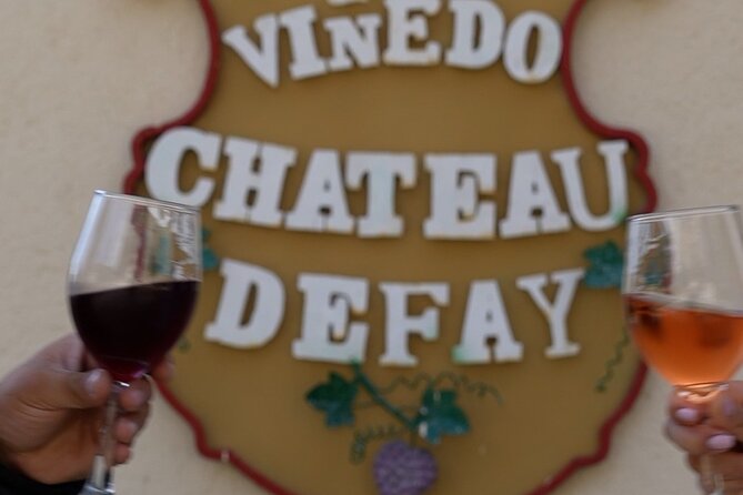 3-Hour Chateau Defay Vineyard Tour in Central America - Inside the winery: from harvest to bottle