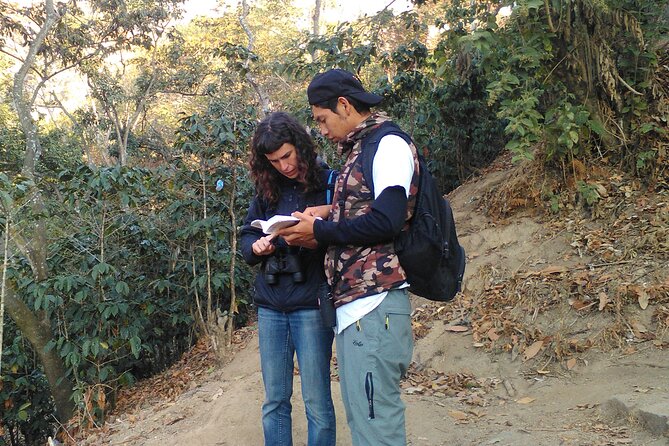 5-Hour Private Birdwatching Experience in San Juan La Laguna - What you may see, hear, and learn