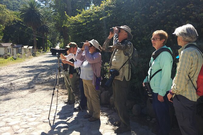 5-Hour Private Birdwatching Experience in San Juan La Laguna - Walking beyond town for five hours