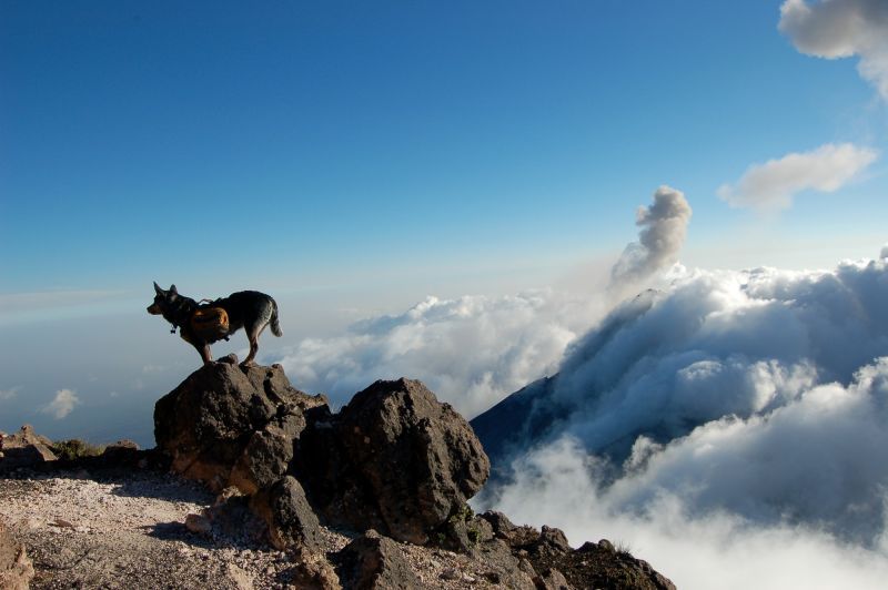 Acatenango Volcano 2-Day Hike - The alternate descent and changing microclimates