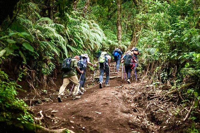 Acatenango Volcano Overnight Hike with Adventure Camping - The early summit climb on day two