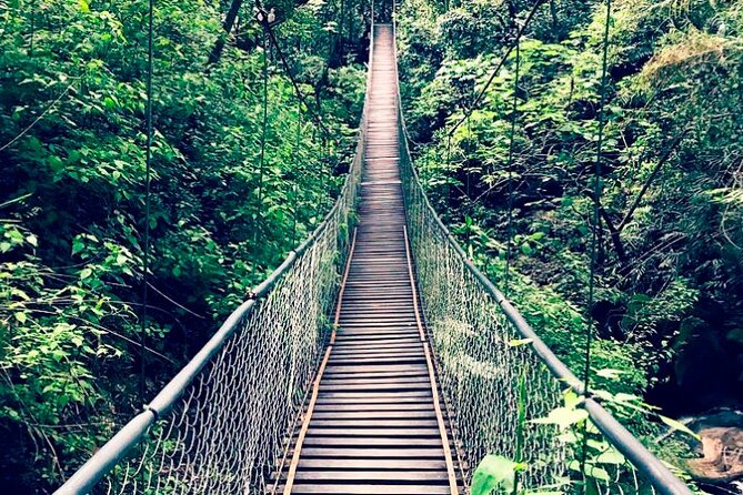 Adventure in Lake Atitlan Zip lines and towns. Overnight. - Zip lines and forest paths at Atitlan Nature Reserve