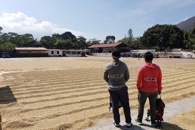 Antigua ATV Coffee Tour - Coffee, chocolate, and the value of a slower stop