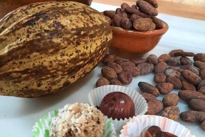 Antigua Coffee and Chocolate experience from Quetzal Port - What this Puerto Quetzal tour actually offers