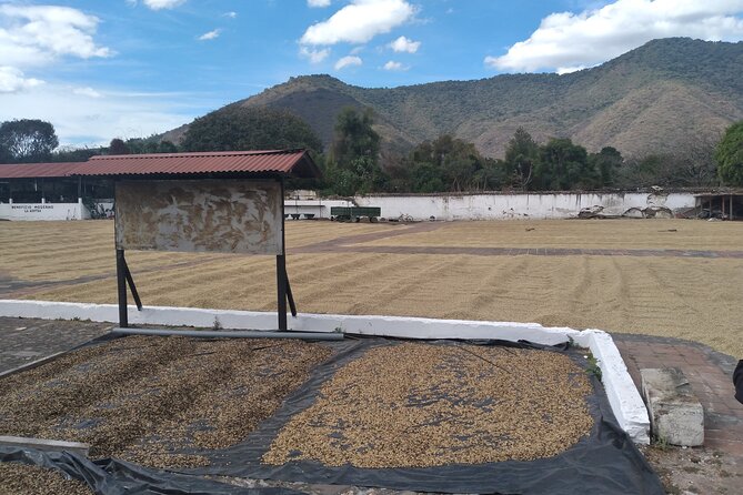 Antigua Coffee and Chocolate experience from Quetzal Port - The road from Puerto Quetzal is part of the decision