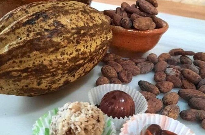 Antigua Coffee and Chocolate experience from Quetzal Port - Who will enjoy this experience most?