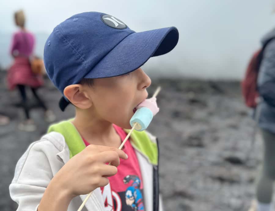 Antigua: Marshmallows Roasting at Pacaya Volcano 6-hour Tour - Key points to know before climbing Pacaya