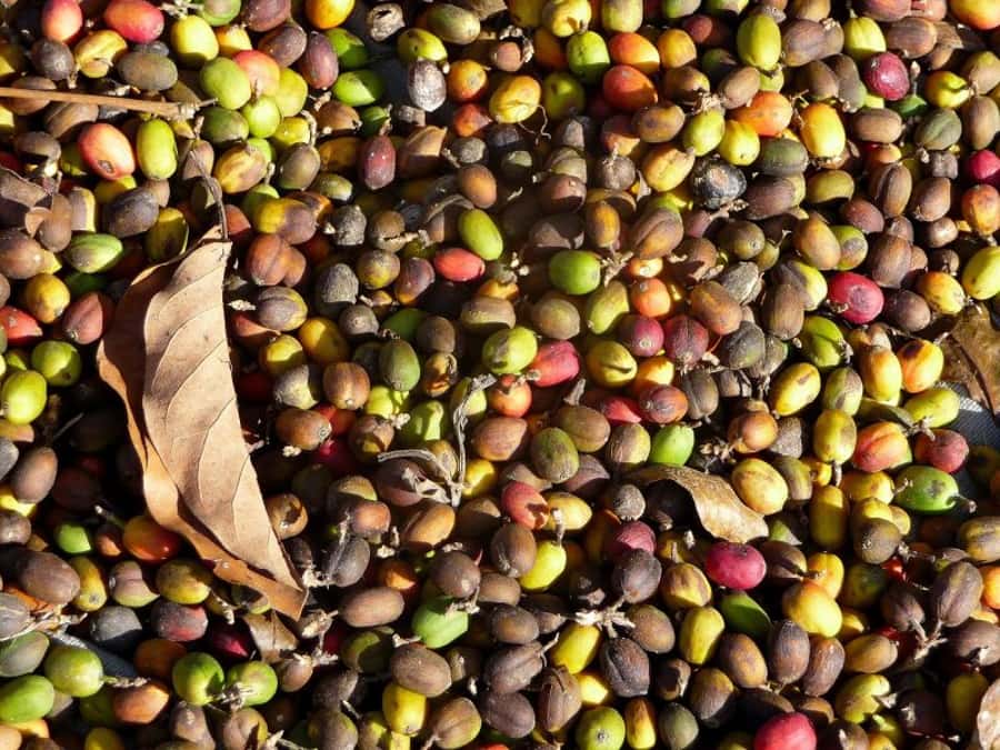 Antigua Sip 'n Cycle Half-Day Bike Ride and Coffee Tour - Maya music, textiles, jade, and local crafts