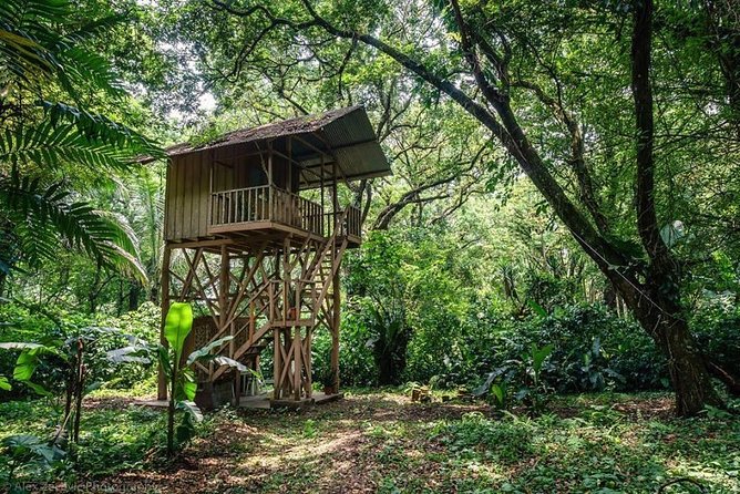 Atitlan Hiking and Birding - Day tour from Antigua - San Lucas Tolimán and the Lake Atitlán pause