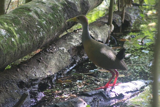 ATM Belize Cave shared Day Tour from Flores Guatemala - The road to San Ignacio and the cave