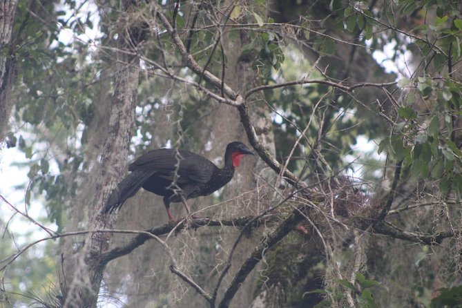 ATM Belize Cave shared Day Tour from Flores Guatemala - Lunch, snacks, and the return trip