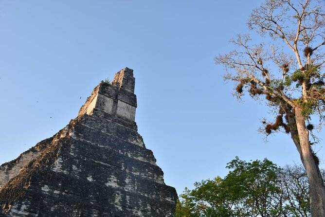Awaken to Tikals' Sunrise Exclusive Tour - Breakfast beside the ancient ruins