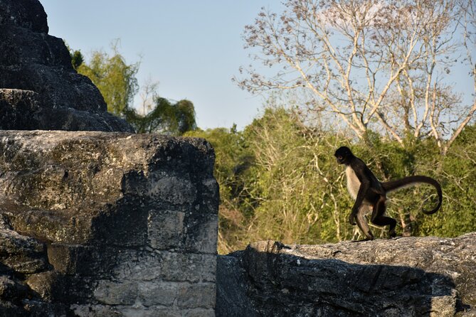 Awaken to Tikals' Sunrise Exclusive Tour - Is $199 per person a fair price?