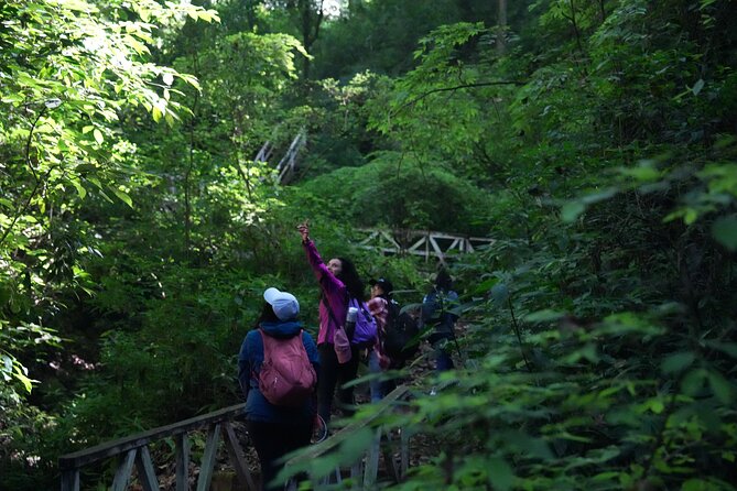 Birdwatching and Scenic Trail - Organization and the One Useful Caution