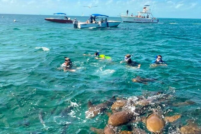 Bus transfer from Flores, Guatemala to Belize City - Why $20 is a strong value