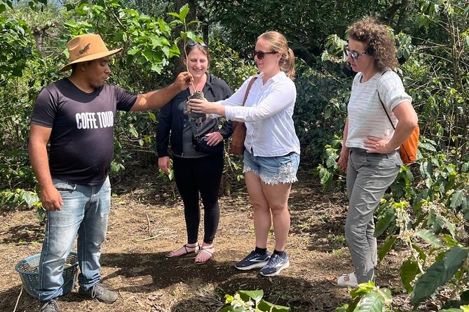 Coffee in the first capital of Guatemala - Learning from Baudilio Rivera and his family