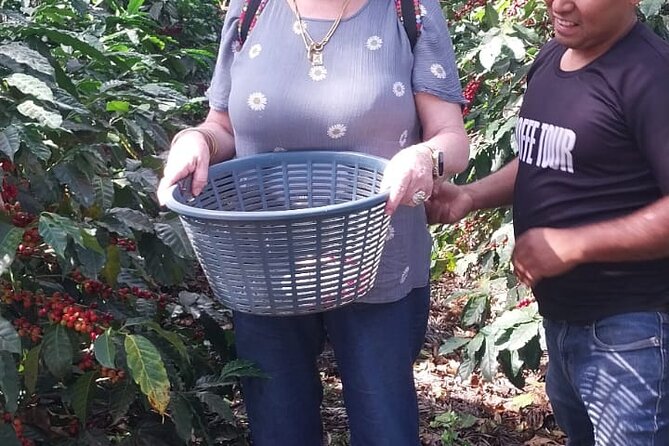 Coffee in the first capital of Guatemala - What $50 includes and whether it is fair value