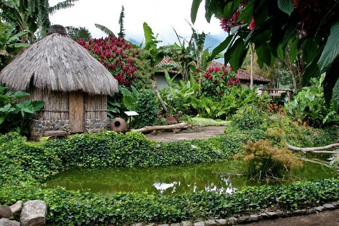 Coffee plantation and Antigua combo - La Azotea: coffee, music, and clothing in one stop