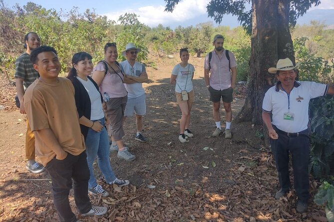 Coffee Tour Adventure Antigua Guatemala - Walking uphill to the coffee trees