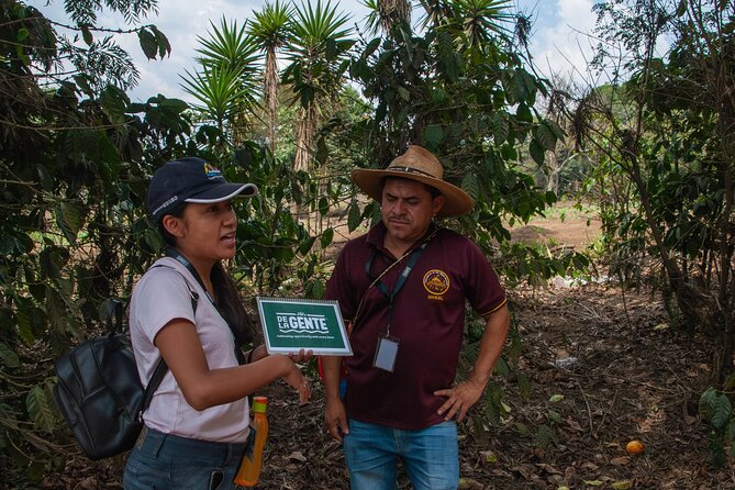 Coffee Tour in Antigua Guatemala - Why this coffee visit feels different