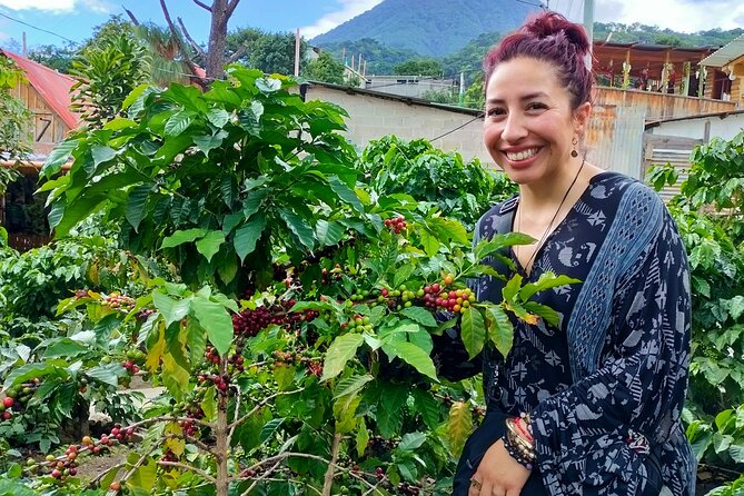 Coffee Tour in Lake Atitlán - Why this Lake Atitlán coffee tour is worth considering