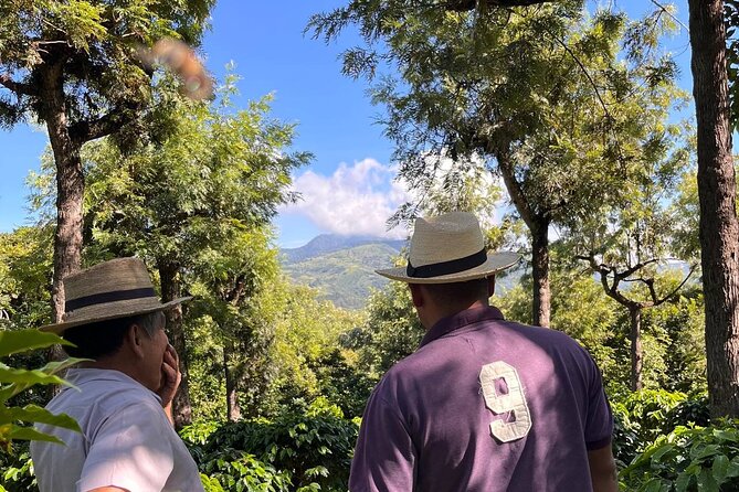 Coffee Tour in Sacatepéquez with Tasting - Who will enjoy this most