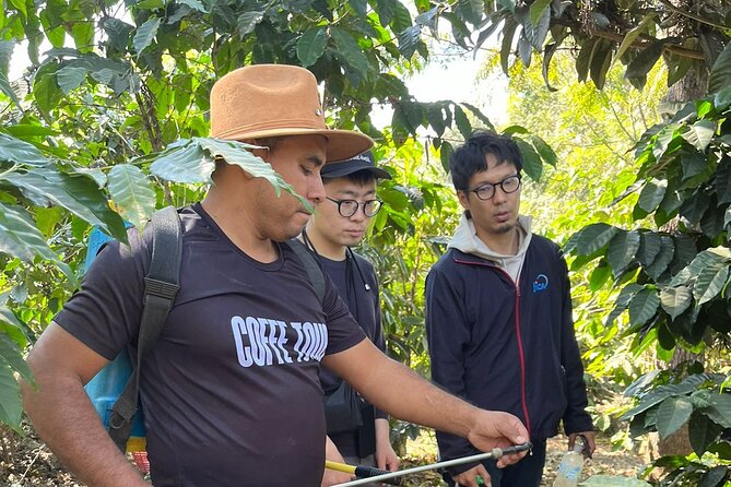 Coffee tour near the Agua Volcano with tasting - Leaving Antigua for the coffee country near Agua Volcano
