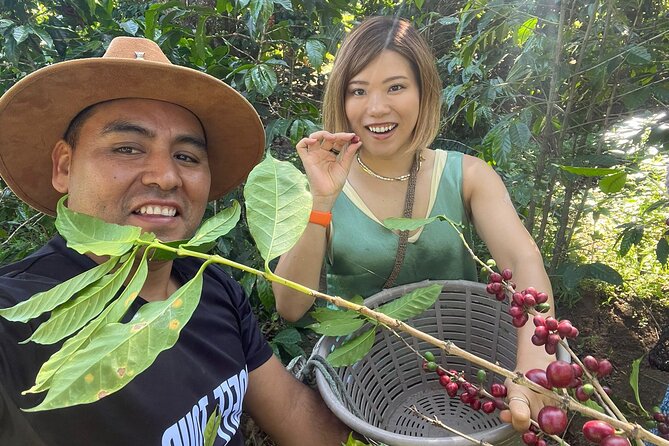 Coffee tour near the Agua Volcano with tasting - Who will enjoy this coffee tour most?