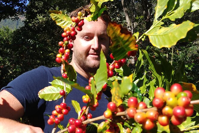 Coffee Walk Tour in San Juan La Laguna - Key points to know before booking