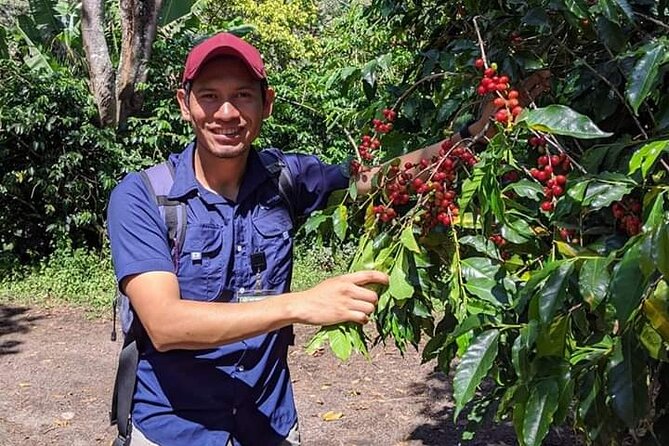 Coffee Walk Tour in San Juan La Laguna - Practical tips for a smoother afternoon