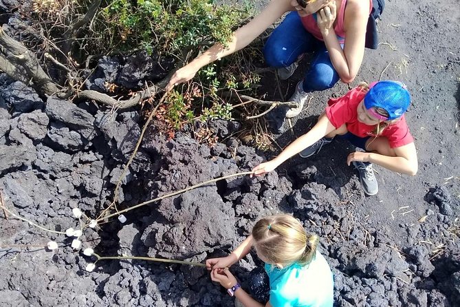 Day Tour to Pacaya Volcano from Antigua Guatemala on Private Vehicle - Who will enjoy this hike most