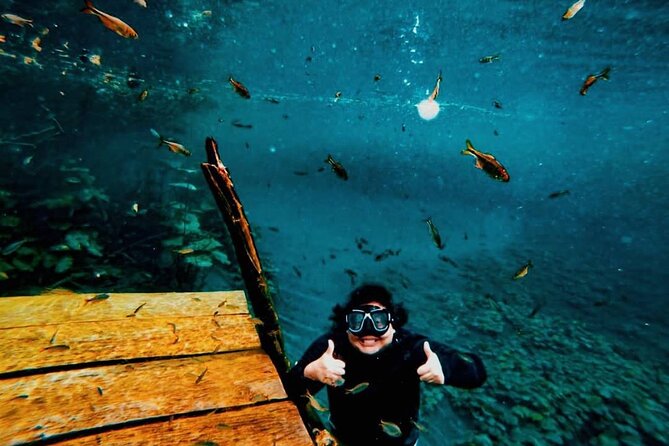 Discover "Crater Azul" & Its Crystal-Clear Waters On A Full-Day Tour From Flores - Sayaxché marks the shift from road to river
