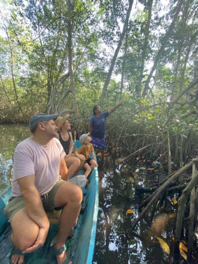 El Paredón: Mangrove Boat Tour with Optional Fishing