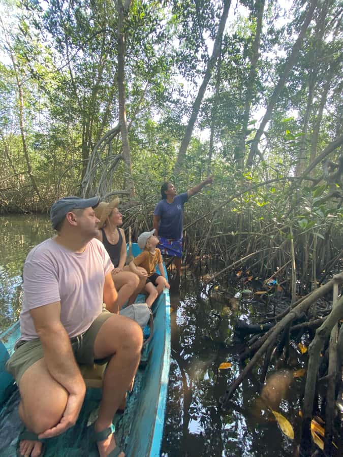 El Paredón: Mangrove Boat Tour with Optional Fishing - Starting at 8:00 AM or 4:00 PM