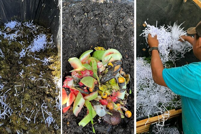Experience: Organic Coffee, Avocados, Honey & More! - Fresh tortillas and a Guatemalan snack