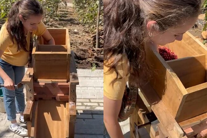 Experience: Organic Coffee, Avocados, Honey & More! - Four compost systems and the work behind organic farming