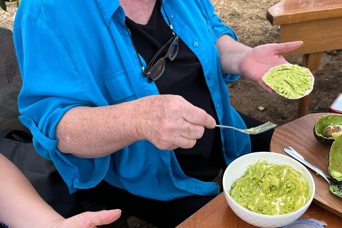 Experience: Organic Coffee, Avocados, Honey & More! - How the timing and group size affect the visit