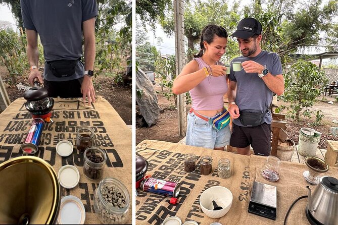 Experience: Organic Coffee, Avocados, Honey & More! - Coffee from red berry to morning cup