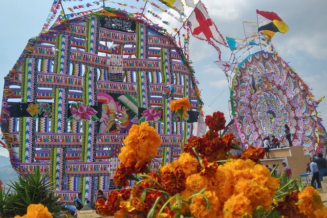 Explore the Giant Kite Festival with Wilson for Nov 1st, 2026 - Key points to know before booking
