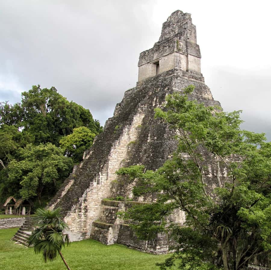 Flores: 1-Day Tikal Tour Private Service From your Hotel - Key points at a glance