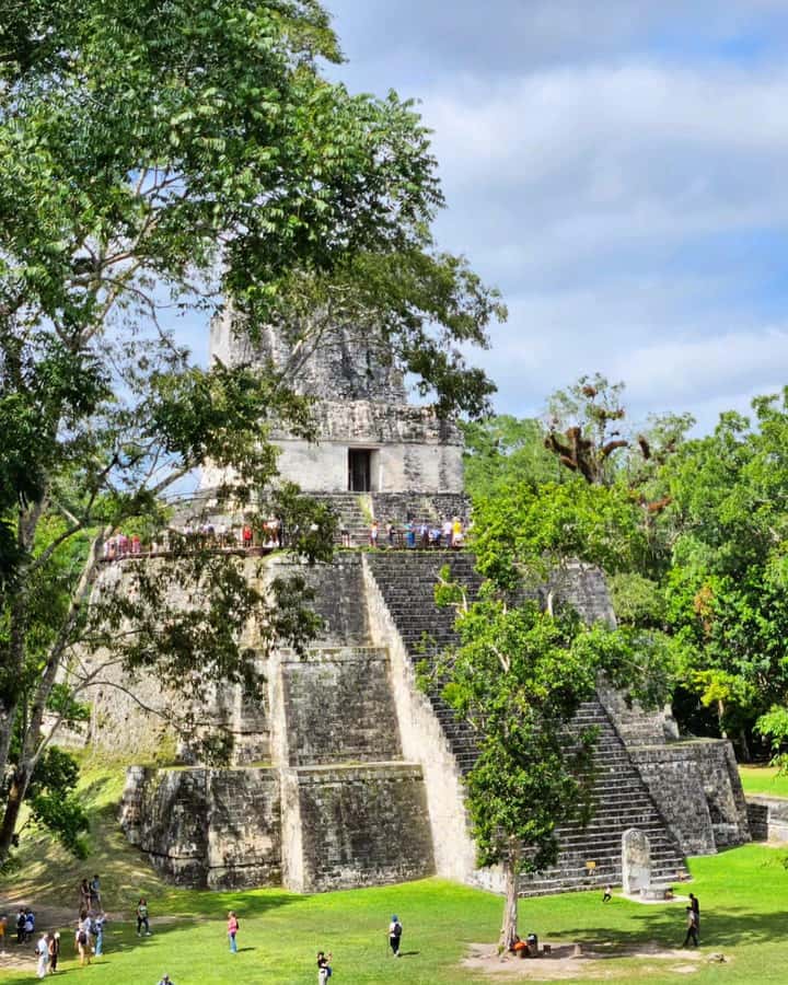 Flores: 1-Day Tikal Tour Private Service From your Hotel - Why a private Tikal visit makes sense