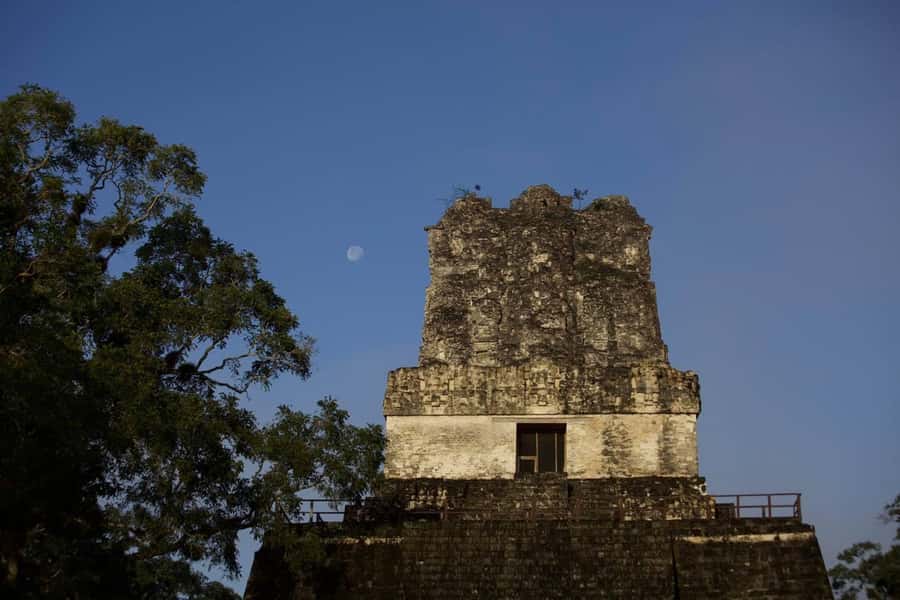 Flores: 1-Day Tikal Tour Private Service From your Hotel - Mundo Perdido and the wider 80 percent route