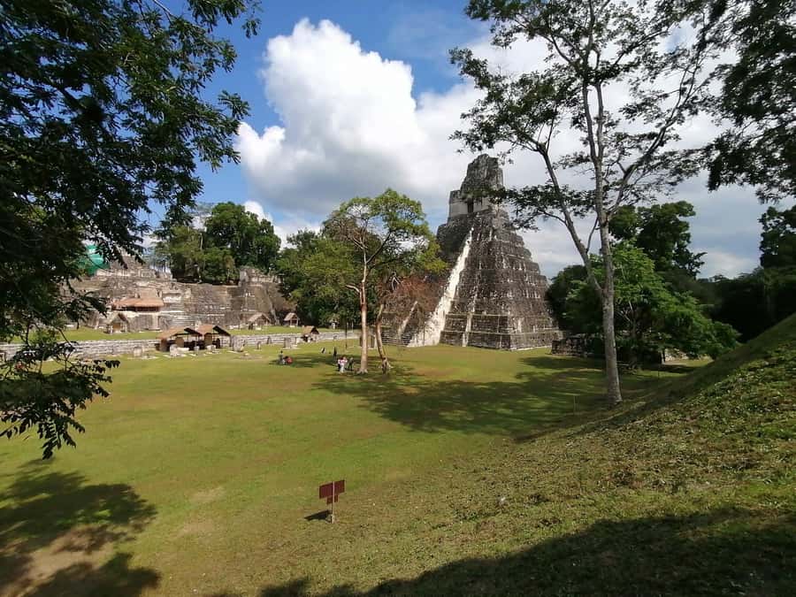 Flores: 1-Day Tikal Tour Private Service From your Hotel - Shopping, then the long ride back