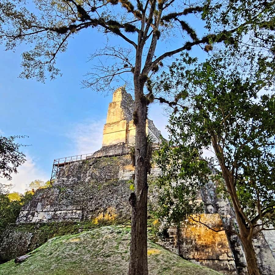 Flores: 1-Day Tikal Tour Private Service From your Hotel - Starting from Flores, Santa Elena, or the airport