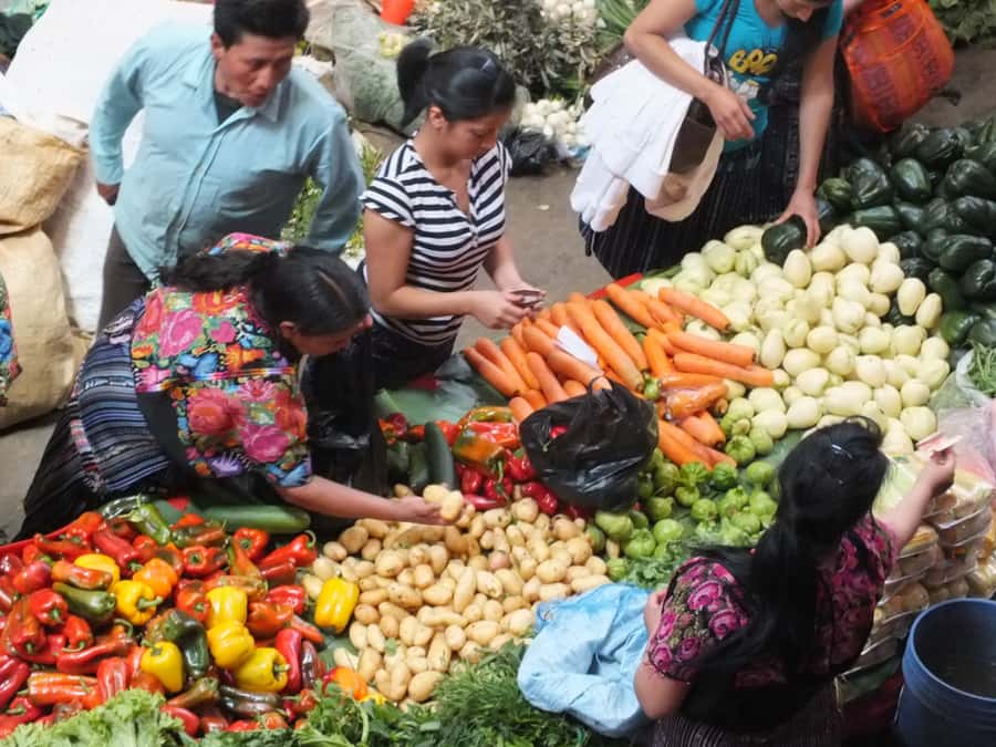 From Antigua: 2-Day Tour of Chichicastenango & Lake Atitlan - Transport, group size, and comfort