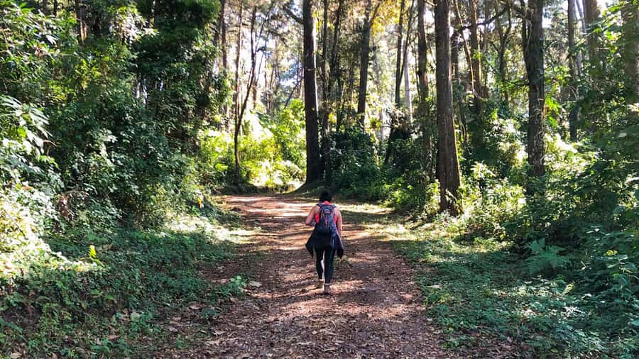From Antigua Guatemala: Birdwatching and Scenic Hiking Tour - Why Finca El Pilar makes a good escape from Antigua