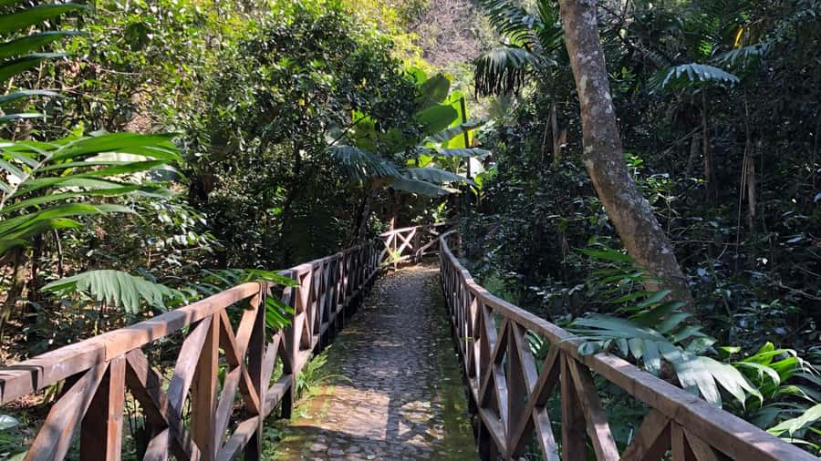 From Antigua Guatemala: Birdwatching and Scenic Hiking Tour - Lower trails: the best place to slow down