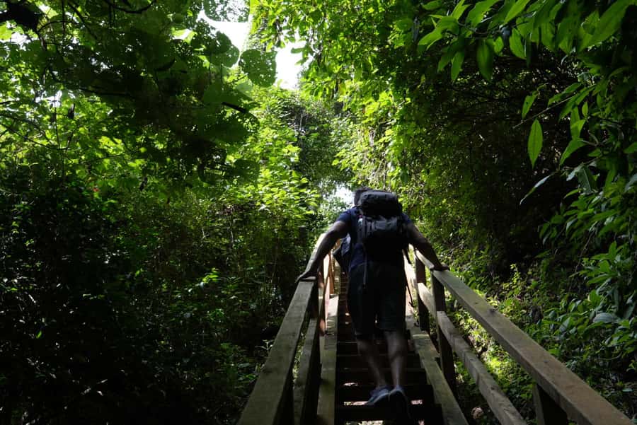 From Antigua Guatemala: Birdwatching and Scenic Hiking Tour - The uphill pine-oak route and its real level of effort